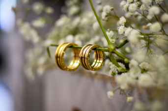 close up photo of gold wedding rings